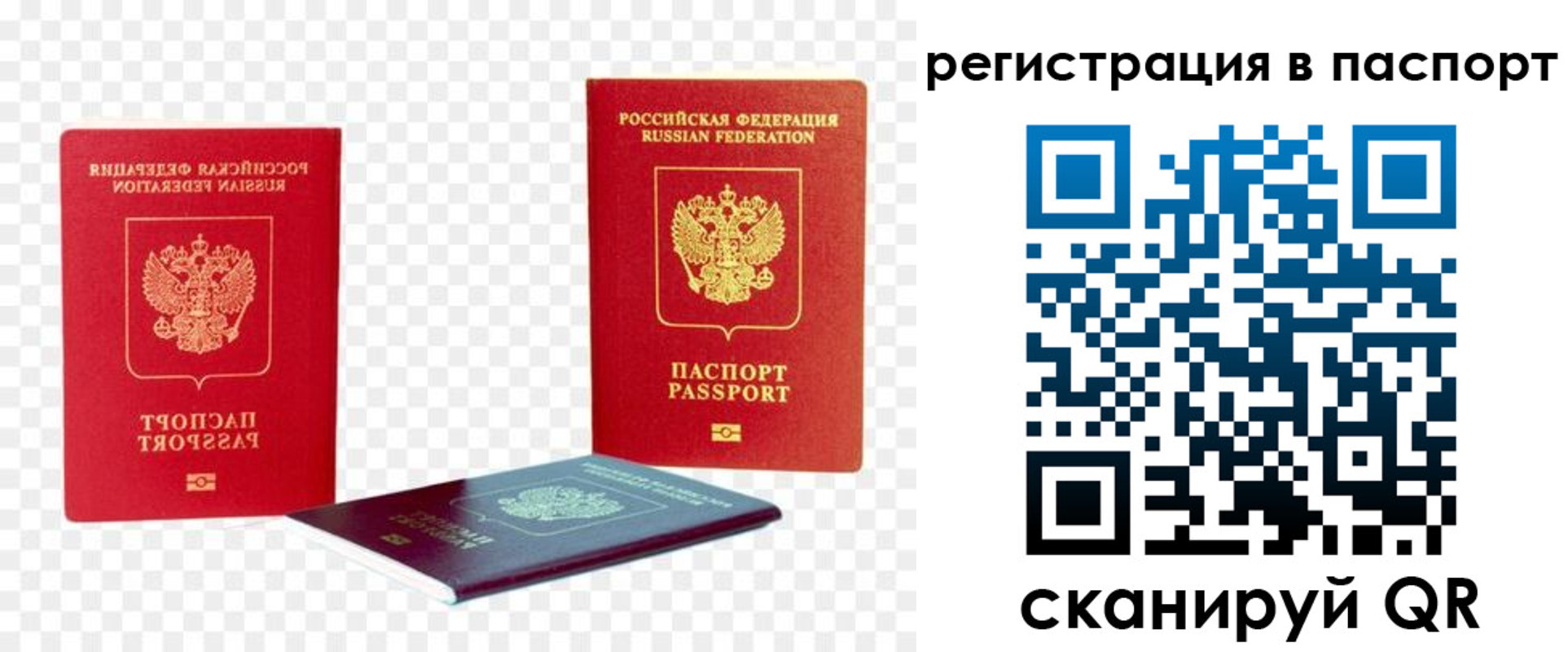 временная регистрация поиск в Киселёвске